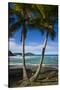 U.S. Virgin Islands, St. Thomas. View of Dorothea Bay-Walter Bibikow-Stretched Canvas