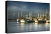 Ua Ch Shrimp Boats I-Danny Head-Stretched Canvas