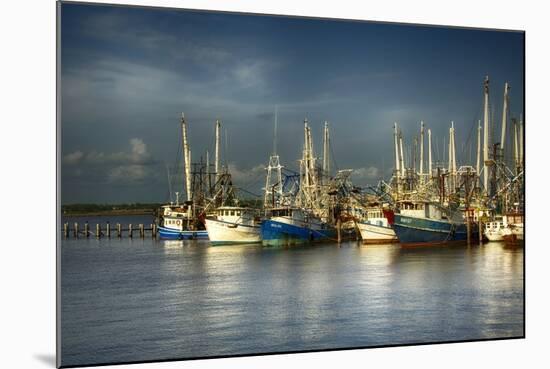 Ua Ch Shrimp Boats I-Danny Head-Mounted Photographic Print