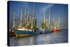 Ua Ch Shrimp Boats III-Danny Head-Stretched Canvas