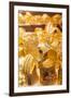 UAE, Dubai, Deira. Gold Souk, gold jewelry-Walter Bibikow-Framed Premium Photographic Print