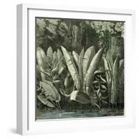 Ucayali Peru 1869-null-Framed Giclee Print