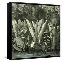 Ucayali Peru 1869-null-Framed Stretched Canvas