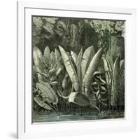 Ucayali Peru 1869-null-Framed Giclee Print