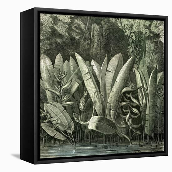 Ucayali Peru 1869-null-Framed Stretched Canvas