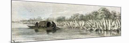 Ucayali River Peru 1869-null-Mounted Premium Giclee Print