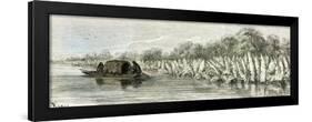 Ucayali River Peru 1869-null-Framed Giclee Print