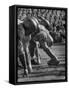 UCLA Football Line Shown in UCLA vs. Stanford Game-George Silk-Framed Stretched Canvas