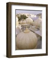 Udai Vilas Oberoi Resort Hotel, Udaipur Lake, Udaipur, Rajasthan State, India-John Henry Claude Wilson-Framed Photographic Print