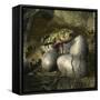 Udanoceratops Hatching Out of an Egg-Stocktrek Images-Framed Stretched Canvas