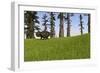 Udanoceratops Walking across a Grassy Field-null-Framed Art Print