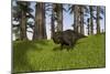 Udanoceratops Walking across a Grassy Field-null-Mounted Art Print