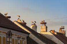 Austria, Burgenland-Udo Bernhart-Photographic Print