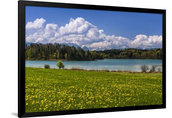 Photographic Print, , large