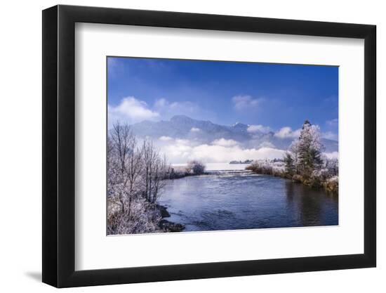 Premium Photographic Print, , large