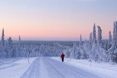 Winter Landscape in Lapland-udvarhazi-Photographic Print