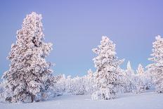 Winter Landscape in Lapland-udvarhazi-Mounted Photographic Print