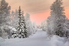 Winter Landscape in Lapland-udvarhazi-Framed Stretched Canvas