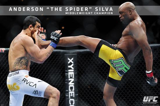 UFC - Anderson Silva Sports Poster-null-Lamina Framed Poster