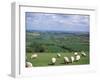 Uffington and the Vale of the White Horse, South Oxfordshire, England, United Kingdom-Rob Cousins-Framed Photographic Print