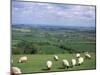 Uffington and the Vale of the White Horse, South Oxfordshire, England, United Kingdom-Rob Cousins-Mounted Photographic Print