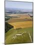 Uffington White Horse, Oxfordshire, UK-David Parker-Mounted Photographic Print