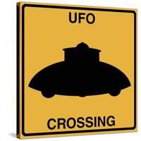 UFO Crossing-Tina Lavoie-Stretched Canvas