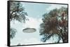 UFO from Coma Berenices-Paul Villa-Framed Stretched Canvas