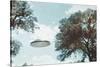 UFO from Coma Berenices-Paul Villa-Stretched Canvas