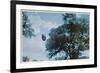 UFO from Coma Berenices-Paul Villa-Framed Premium Giclee Print