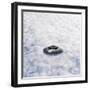 UFO Sighting-Richard Kail-Framed Premium Photographic Print