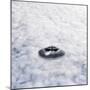 UFO Sighting-Richard Kail-Mounted Premium Photographic Print