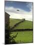 UFO Sighting-Richard Kail-Mounted Photographic Print