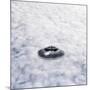 UFO Sighting-Richard Kail-Mounted Photographic Print