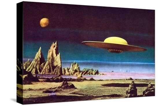 Stretched Canvas Print, , large