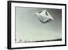 UFOs, Fry, California-null-Framed Photographic Print