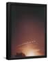 Essential Black
