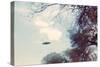 UFOs, New Mexico, Villa-Paul Villa-Stretched Canvas