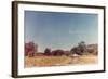 UFOs, New Mexico, Villa-Paul Villa-Framed Photographic Print