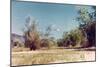 UFOs, New Mexico, Villa-Paul Villa-Mounted Photographic Print