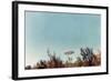 UFOs, New Mexico, Villa-Paul Villa-Framed Photographic Print