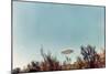 UFOs, New Mexico, Villa-Paul Villa-Mounted Photographic Print
