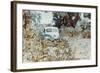 UFOs, New Mexico, Villa-Paul Villa-Framed Photographic Print