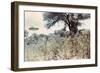 UFOs, New Mexico, Villa-Paul Villa-Framed Photographic Print