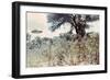 UFOs, New Mexico, Villa-Paul Villa-Framed Photographic Print