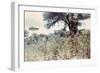 UFOs, New Mexico, Villa-Paul Villa-Framed Photographic Print