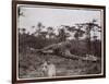 Ugigi, Belgian Congo, c.1910-null-Framed Premium Giclee Print