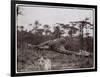 Ugigi, Belgian Congo, c.1910-null-Framed Premium Giclee Print