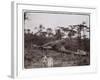 Ugigi, Belgian Congo, c.1910-null-Framed Premium Giclee Print