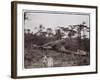 Ugigi, Belgian Congo, c.1910-null-Framed Premium Giclee Print